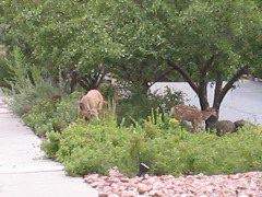 IMG_0393.JPG