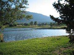 IMG_0204.JPG