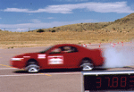 Mustang